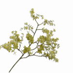 Fleur artificielle - Branche feuillage vert