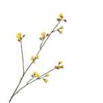 Fleur artificielle - Branche fleurs jaunes