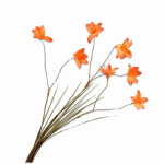Fleur artificielle - Lys ramifiés orange