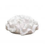 Lampe Corail
