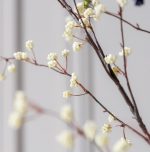 Fleur artificielle - Baies crème – Image 2