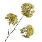 Fleur artificielle - Trachelium