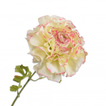 Fleur artificielle - Renoncule crème & rose