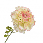 Fleur artificielle - Renoncule crème & rose