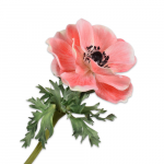 Fleur artificielle - Anémone saumon