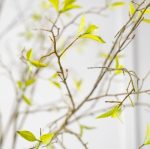 Fleur artificielle - Branche de saule – Image 3
