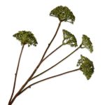 Fleur artificielle - Aneth